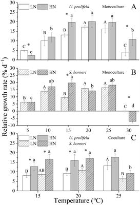 Ocean warming enhances the competitive advantage of Ulva prolifera over a golden tide alga, Sargassum horneri under eutrophication